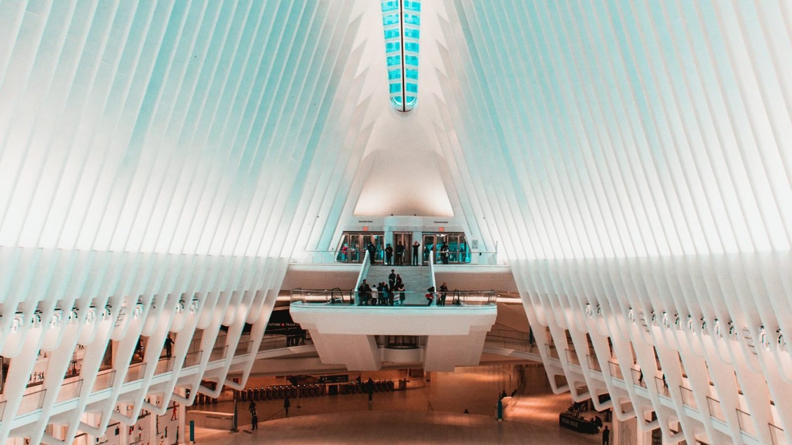 jannis-lucas-1329978-unsplash